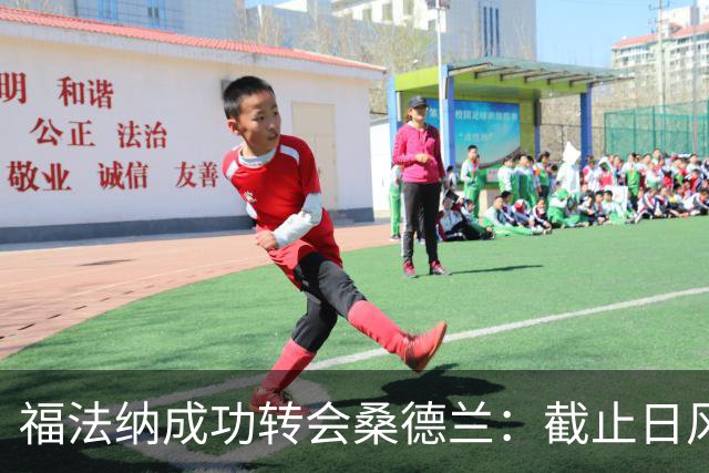 福法纳成功转会桑德兰：截止日风波与飞往未来的选择